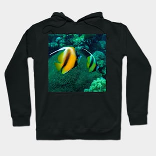 bannerfish Hoodie